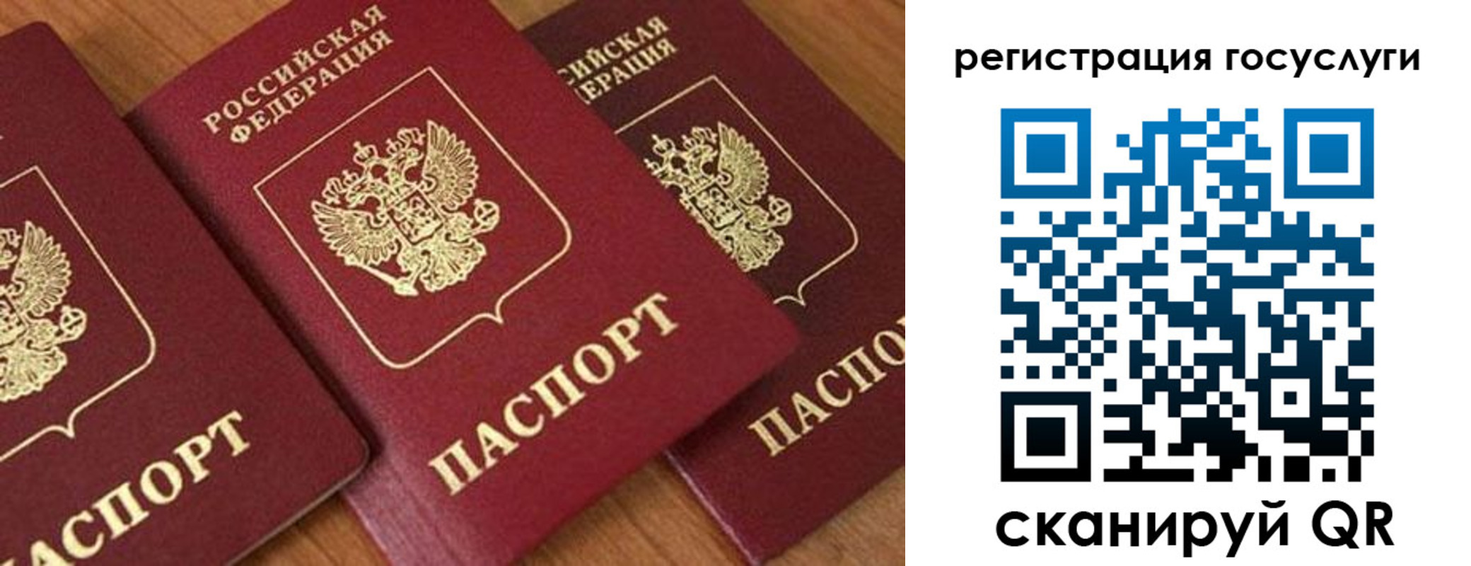временная регистрация гарантия в Боброве